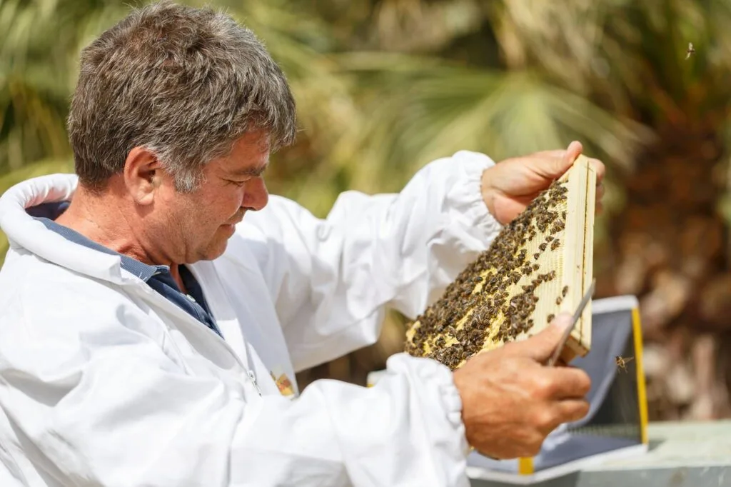 Carlo Amodeo apicultore